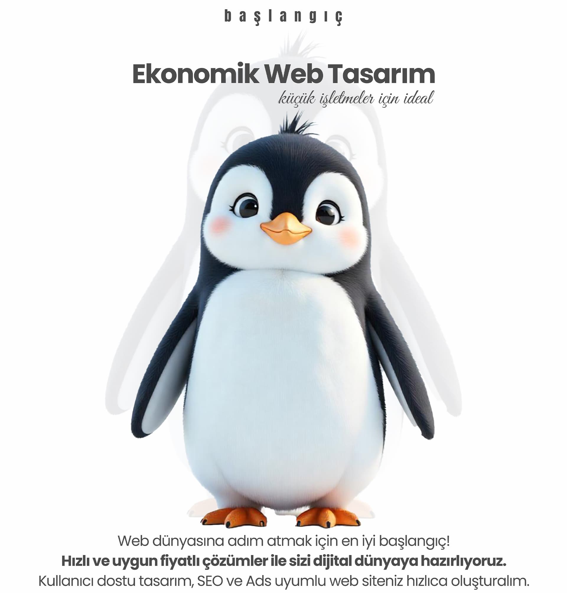 Ekonomik Web Tasarım Paketi