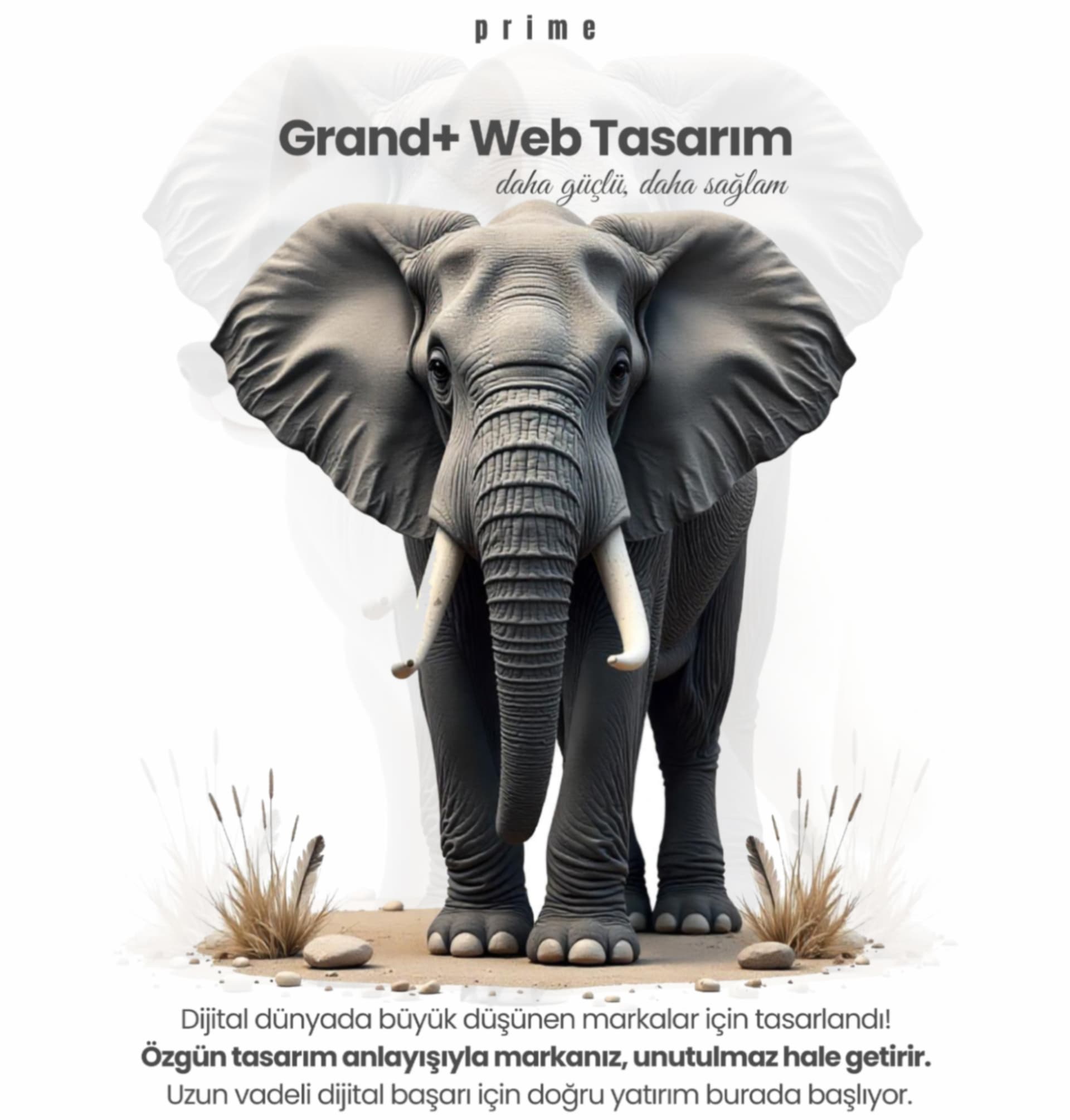 Grand+ Web Tasarım Paketi 19.999TL